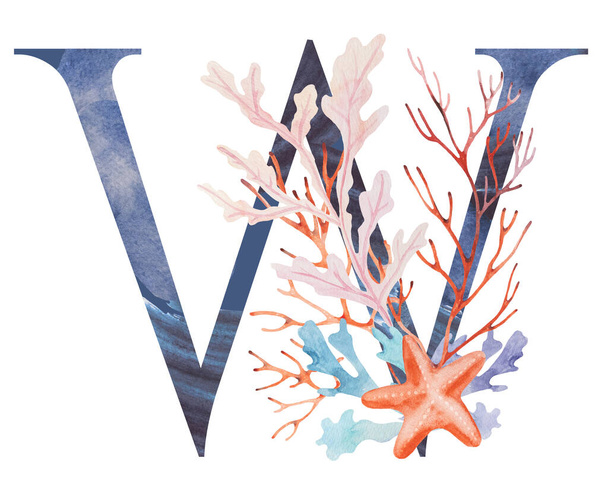 ブルーの大文字のWは、水彩海草、サンゴや貝殻の孤立イラストで飾られた。手は夏のビーチの結婚式の文房具のための水中要素を描いた。アルファベットの海洋デザイン - 写真・画像