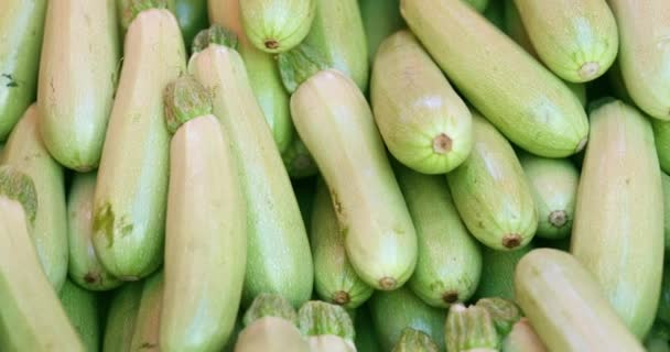 Rohe reife Zucchini in der Nahaufnahme eines Lebensmittelmarktes. Vorteile des Zucchini-Konzepts - Filmmaterial, Video