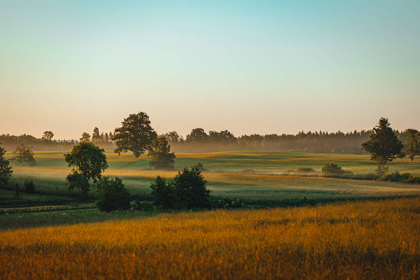 Ruhige Landschaft bei Sonnenuntergang im Sommer, Nebel über dem Feld, Sommerhimmel - Foto, Bild