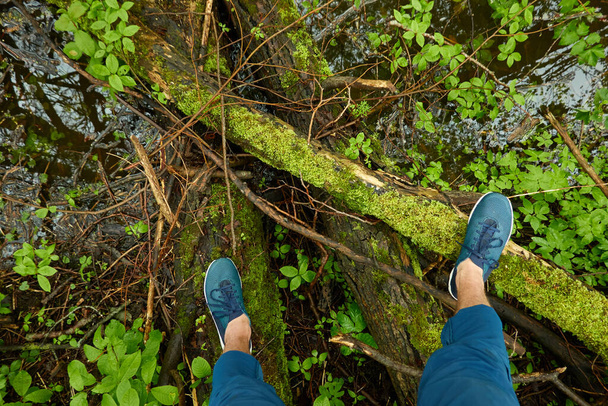 Man standing on tree log in a forest park. Blue jeans and trekking boots. Green plants, moss, fern. Spring, early summer. Nature, tourism, hiking, nordic walking, healthy lifestyle - Photo, Image