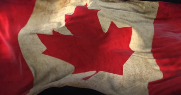 古いカナダの旗の風で手を振る。ループ - 映像、動画