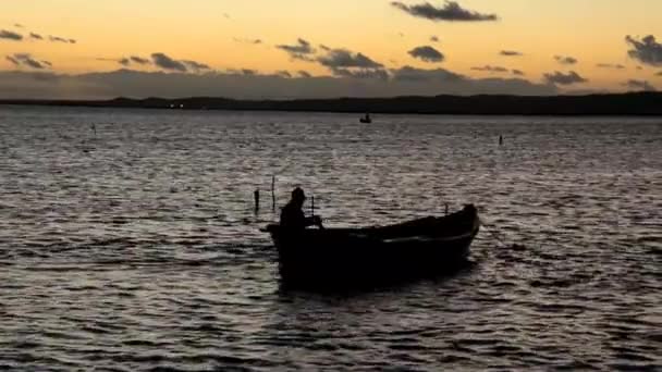 halász - Felvétel, videó