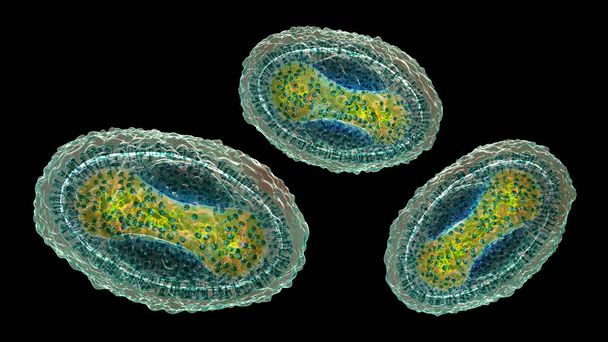 Wirus zakaźnego mięczaka, ilustracja 3D. Wirus z rodziny Poxvirus, powoduje zakażenie skóry z licznymi drobnymi podniesionymi zmianami - Zdjęcie, obraz