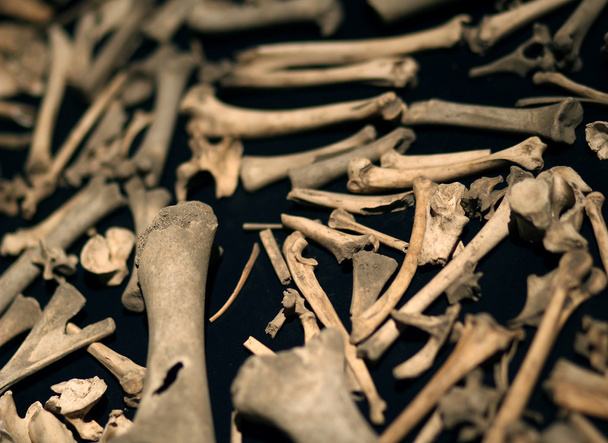 A grande quantidade de pequenos ossos deitados na mesa preta macro s
 - Foto, Imagem