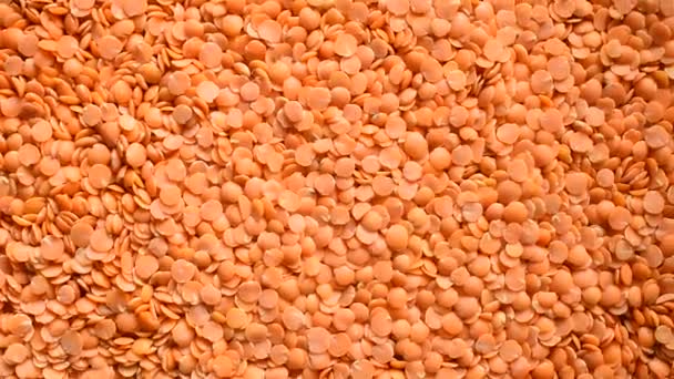 Raw split dried red Masoor lentils - Footage, Video