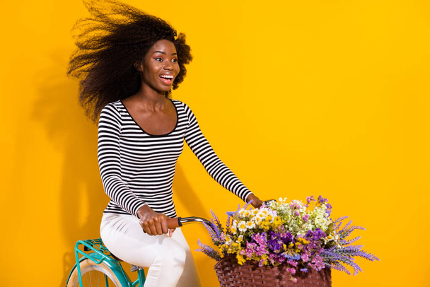 Foto ritratto di donna riccia in sella a una bicicletta con vaso di fiori sorridente godendo di vento fresco isolato luminoso colore giallo sfondo. - Foto, immagini
