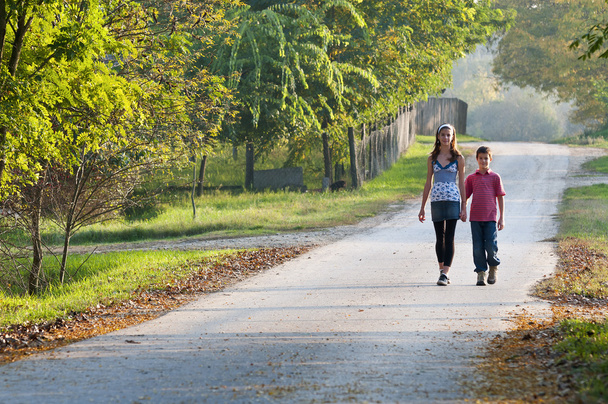 Two children on country road - Photo, Image