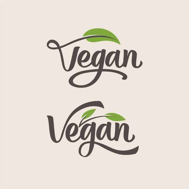 A close-up shot of vegan natural product icon and elements vector - Διάνυσμα, εικόνα
