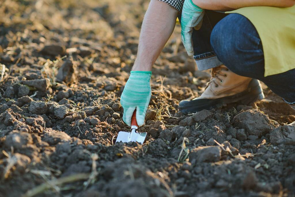 Gloved hands and shovels shovel the soil.A hand in a white gardening glove works with a tool - Foto, immagini