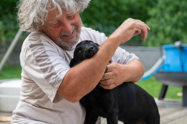 Senior hombre jugando con un lindo negro labrador retriever cachorro fuera. - Foto, imagen