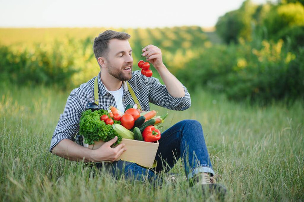 farmer holding a crate of bio vegetables in the farm. Happy man showing box of harvested vegetables - Foto, Bild