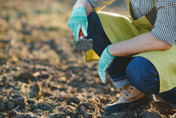 Gloved hands and shovels shovel the soil.A hand in a white gardening glove works with a tool - Foto, afbeelding