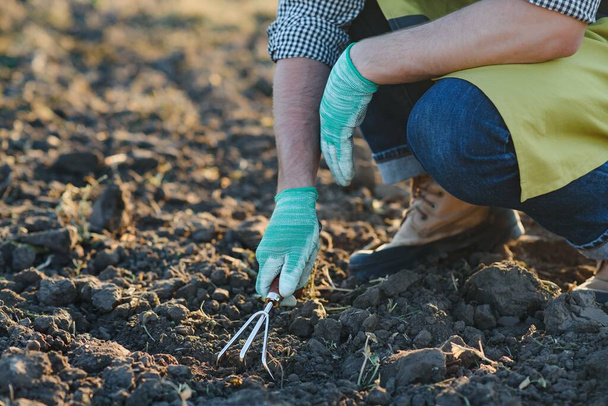 Gloved hands and shovels shovel the soil.A hand in a white gardening glove works with a tool - Фото, изображение