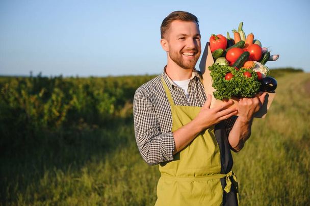 Мужчина фермер держит коробку с овощами в поле. - Фото, изображение