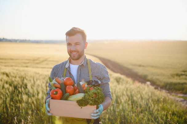 Male farmer holding box with vegetables in field. - 写真・画像