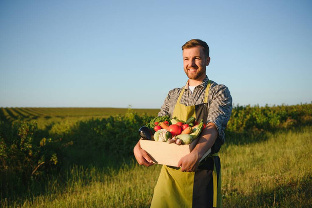 Male farmer holding box with vegetables in field. - Zdjęcie, obraz