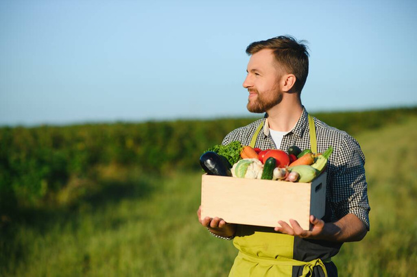 farmer holding a crate of bio vegetables in the farm. Happy man showing box of harvested vegetables - Foto, imagen