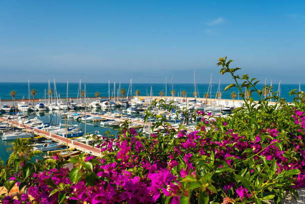 Purple bougainvillea flowers on the background of the sea and boats. Mediterranean sea. Summer holidays, vacation and travel concept - Fotoğraf, Görsel