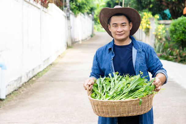 Portrait of Asian man gardener holds basket of vegetables. Concept : farmer grow fresh organic vegetables for cooking , sharing to neighbors or selling, delivery to home. Thai local living lifestyle.  - Photo, Image