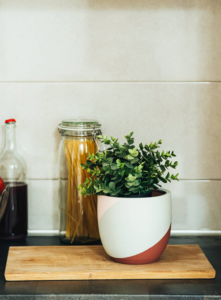 観葉植物、木製のまな板、スパゲッティの瓶、キッチンの上に赤ワインのボトル - 写真・画像
