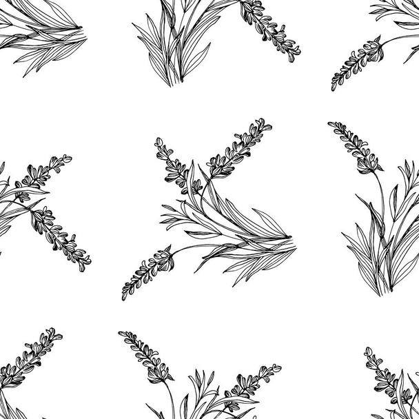 Flor silvestre patrón de flores de lavanda en un estilo de una línea. Esquema de la planta: Tinta grabada en blanco y negro art. Bosquejo flor silvestre para el fondo, textura - Vector, imagen