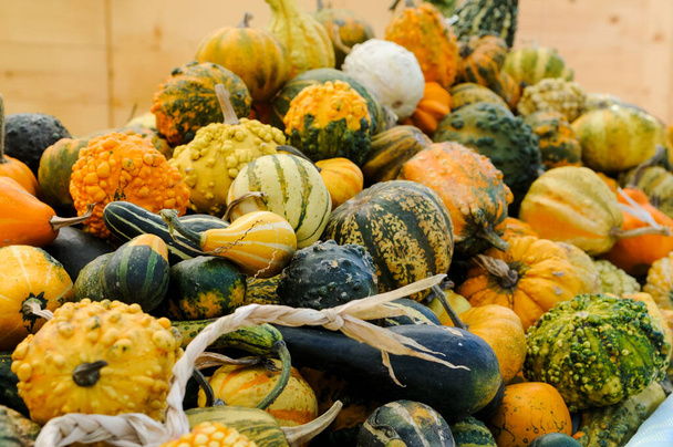 A closeup shot of multicolored pumpkins in an outdoor market - Foto, Imagem