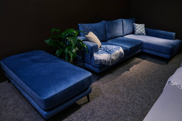Современный и удобный стильный синий велюровый диван с бежевыми подушками из высококачественных тканей и подставки для ног, выставленный на продажу в выставочном зале. Концепция дизайна - Фото, изображение