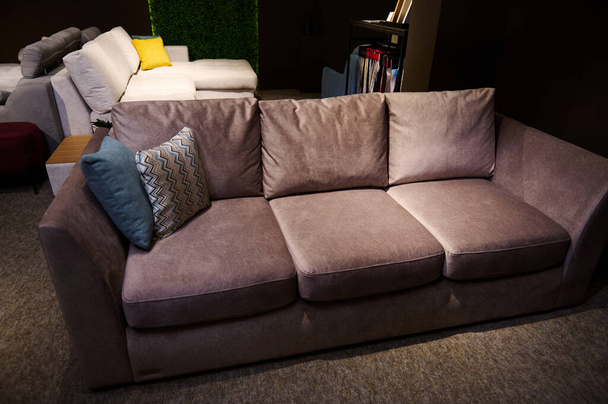 Sofá elegante, moderno, minimalista e confortável com almofadas exibidas para venda em um estúdio de design de casa e loja de móveis - Foto, Imagem