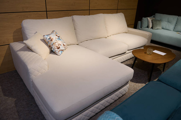 Centre d'exposition avec une variété de canapés élégants et modernes, canapés, canapés avec coussins, oreillers et couvertures dans un meuble design studio salon modèle intérieur - Photo, image