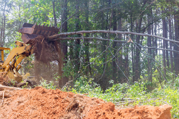 Tractor skid steers were used to clear land from trees from for a subdivision of a housing development - Photo, Image