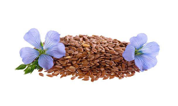 Flax flowers and linseed isolated on white background. Bouquet of blue common flax or linum usitatissimum - Photo, Image
