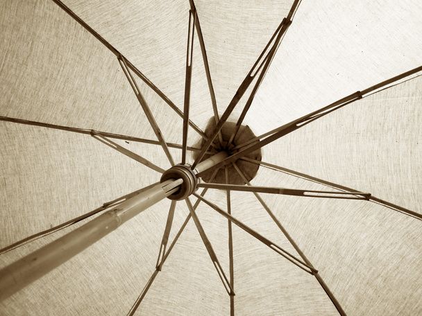 brązowy parasol - Zdjęcie, obraz