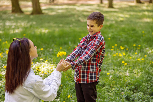 Забавный маленький симпатичный мальчик, раздающий одуванчики маме в парке. Цветы от ребенка. Счастливая мама. - Фото, изображение