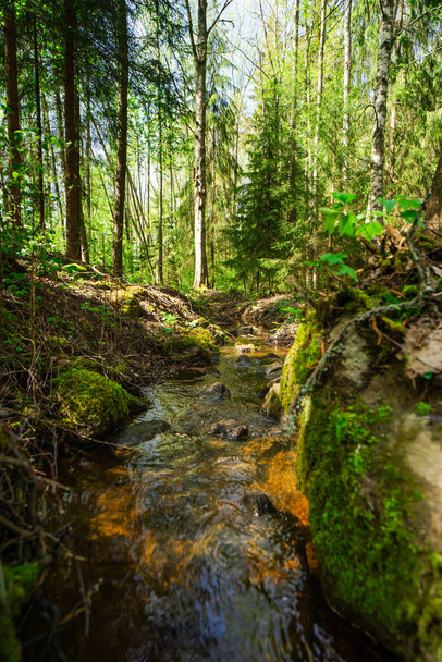 Ένα κάθετο πλάνο ενός στενού ποταμού στο δάσος της Φινλανδίας - Φωτογραφία, εικόνα