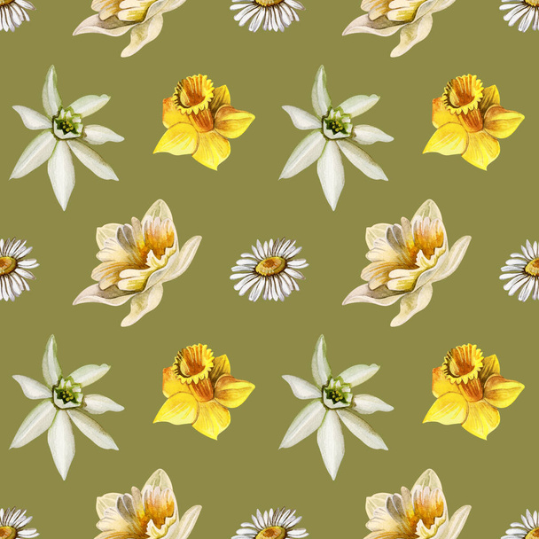 Watercolor seamless pattern with daffodils and daisies. Hand-drawn floral ornament on a green background. Spring flowers - 写真・画像