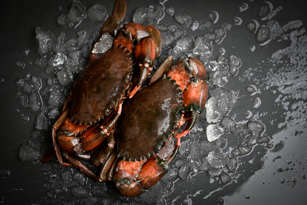 cangrejo crudo sobre fondo negro, cangrejo de barro fresco con hielo para cocinar alimentos en el restaurante de mariscos  - Foto, imagen