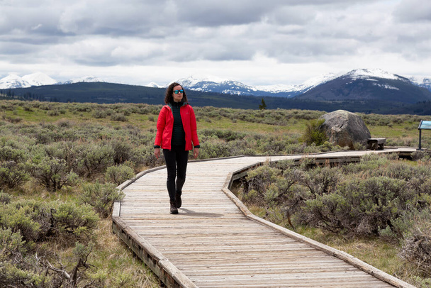 Adventurous Woman Hiking on Boardwalk in American Landscape. Yellowstone National Park, Wyoming, United States. Adventure Travel. - Fotografie, Obrázek