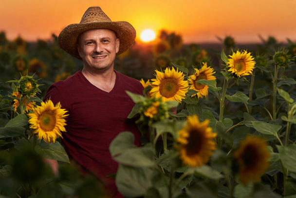 Happy farmer in straw hat in his sunflower plantation at sunset - Фото, изображение