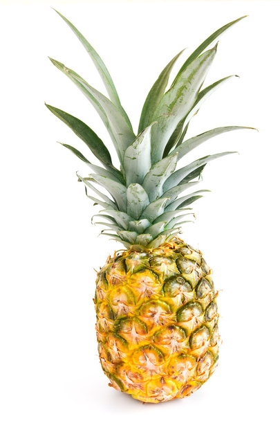Ananas isolé
 - Photo, image