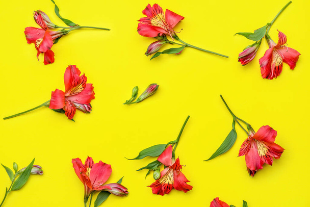Flores de alstroemeria roja sobre fondo amarillo - Foto, Imagen