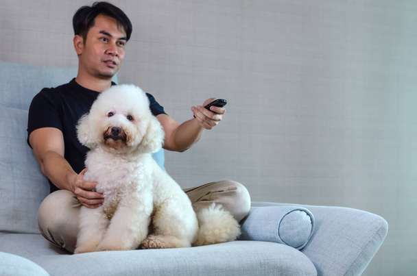 Adorabile cane barboncino bianco sorridente seduto e rilassante sul divano blu mentre si rimane a casa con il proprietario quando si guarda la TV . - Foto, immagini