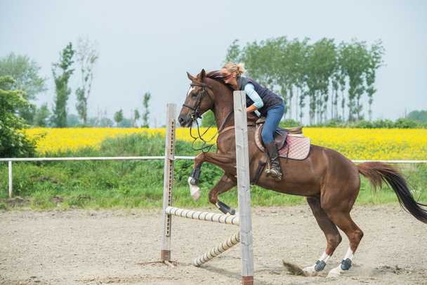 Springen mit Pferd - Foto, Bild