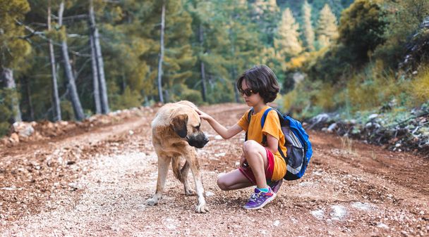 森の中を歩く犬のいる子供、羊飼いの犬と歩く少年、ペットを撫でる子供 - 写真・画像