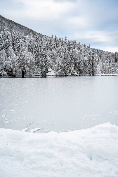 piękny zimowy krajobraz z zamarzniętym jeziorem i pokrytymi śniegiem drzewami - Zdjęcie, obraz
