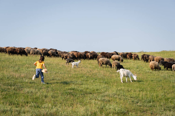 full length of child running towards herd grazing in grassy meadow - Foto, Bild
