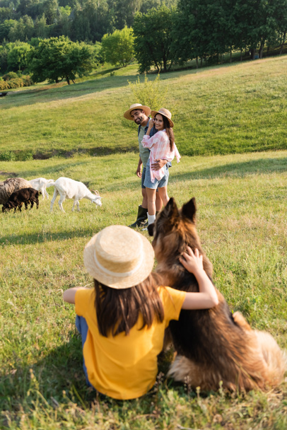 happy farmers in straw hats herding livestock near blurred daughter with cattle dog - 写真・画像
