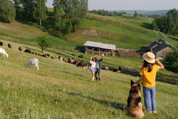 lapsi koiran kanssa heiluttaen kättä vanhemmille, jotka paimentavat karjaa maalauksellisella laitumella - Valokuva, kuva