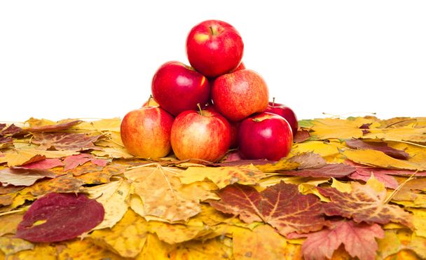 manzanas y hojas de otoño sobre blanco
 - Foto, Imagen