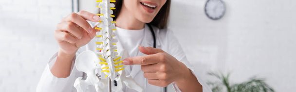 Cropped view of cheerful doctor pointing at spinal model in hospital, banner  - Foto, imagen