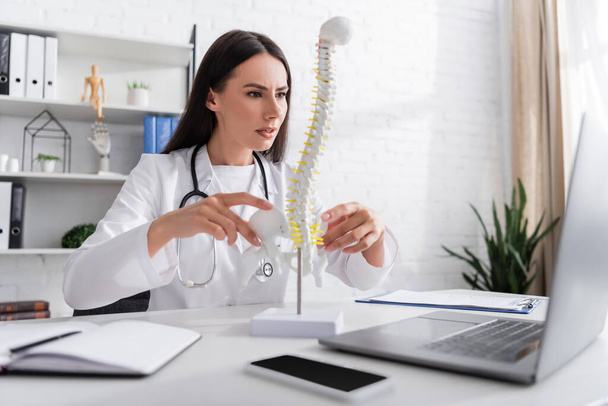 Doctor holding spinal model during online consultation on laptop in clinic  - 写真・画像